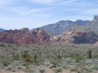 /album/a2003-04-las-vegas-usa/vegas011-jpg/