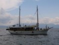 /album/fotogalerie-2007-07-makarska-cr/drven004-jpg/