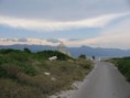 /album/fotogalerie-2007-07-makarska-cr/drven006-jpg/