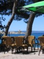 /album/fotogalerie-2007-07-makarska-cr/drven010-jpg/